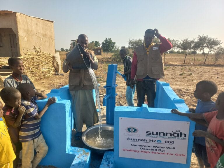 Cameroon Hand Water Well