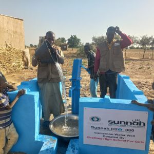 Cameroon Hand Water Well