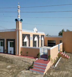 Pakistan Masjid Large