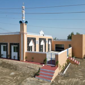 Pakistan Masjid Large