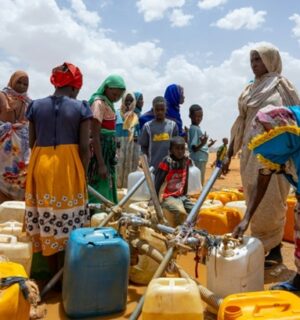 Sudan Emergency Appeal