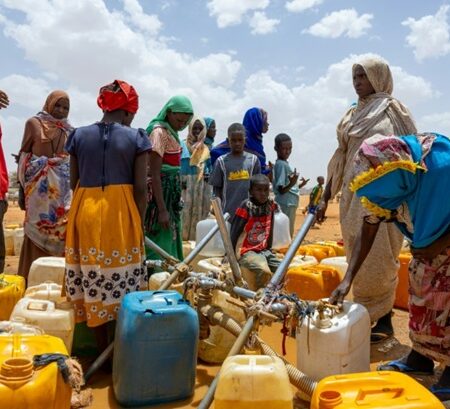 Sudan Emergency Appeal